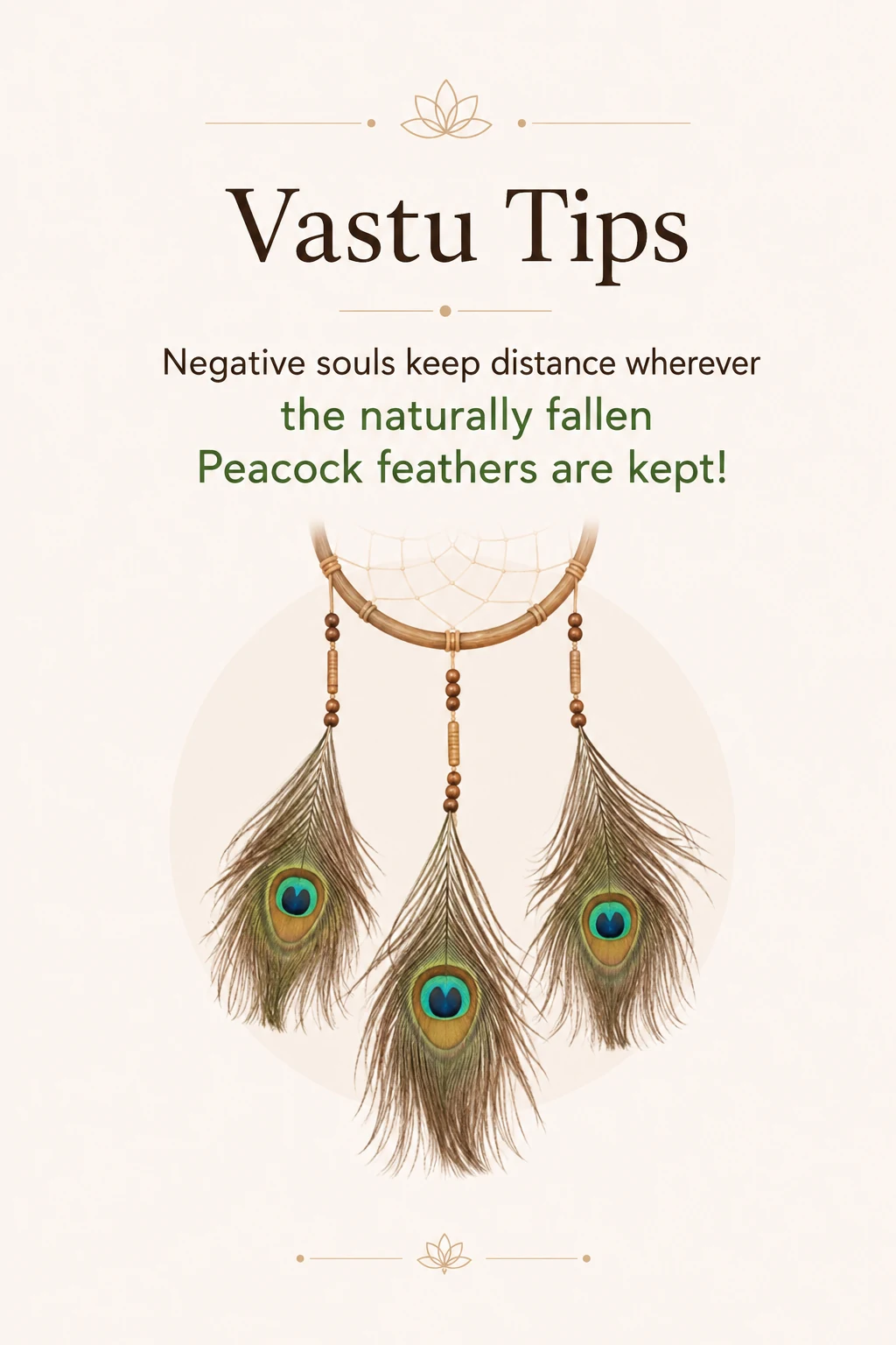 Naturally fallen peacock feathers for home energy purification